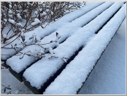 첫 눈이 내렸어요