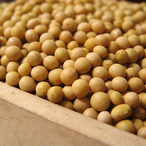 5f4aa93cd5583e745594aa9d7ec17529_1763357221_176.jpg 5f4aa93cd5583e745594aa9d7ec17529_1763357221_176.jpg