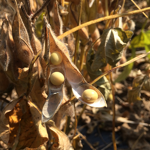 5f4aa93cd5583e745594aa9d7ec17529_1763357224_0445.jpg 5f4aa93cd5583e745594aa9d7ec17529_1763357224_0445.jpg