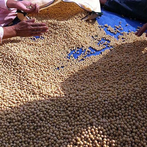 5f4aa93cd5583e745594aa9d7ec17529_1763357232_7381.jpg 5f4aa93cd5583e745594aa9d7ec17529_1763357232_7381.jpg