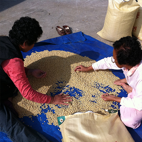 5f4aa93cd5583e745594aa9d7ec17529_1763357235_2455.jpg 5f4aa93cd5583e745594aa9d7ec17529_1763357235_2455.jpg