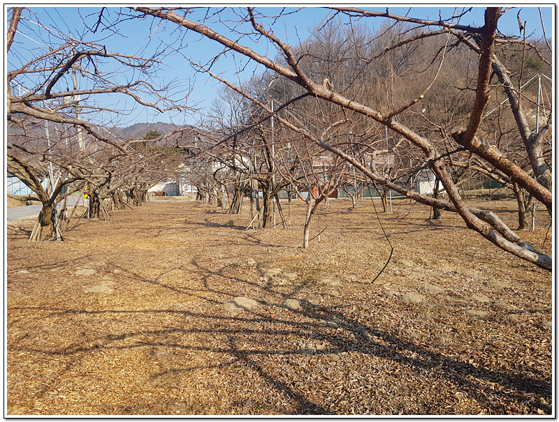 d322ec2bd1bf0e3db4a08783b7a6854c_1771549545_9665.jpg d322ec2bd1bf0e3db4a08783b7a6854c_1771549545_9665.jpg