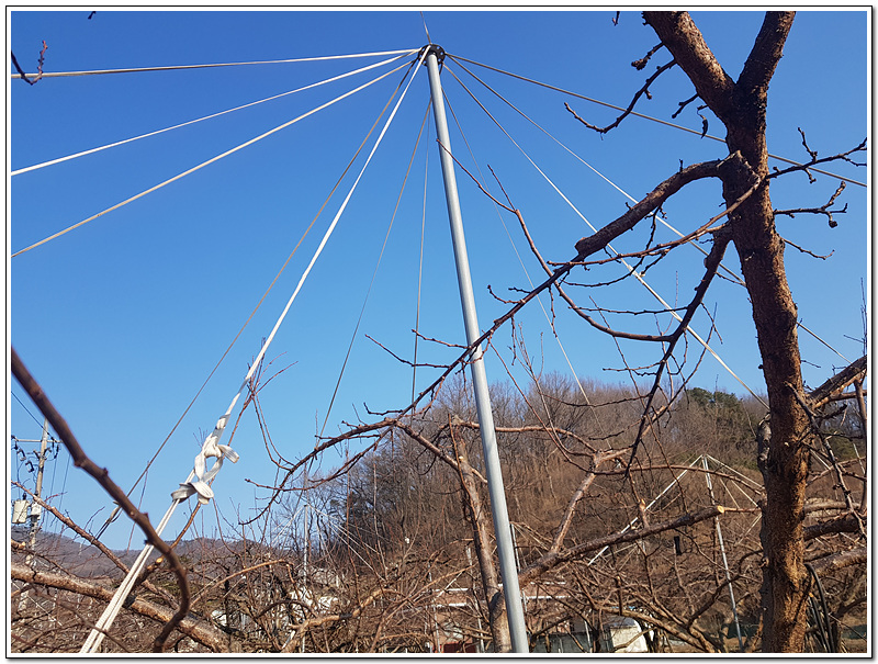 d322ec2bd1bf0e3db4a08783b7a6854c_1771549585_2424.jpg d322ec2bd1bf0e3db4a08783b7a6854c_1771549585_2424.jpg