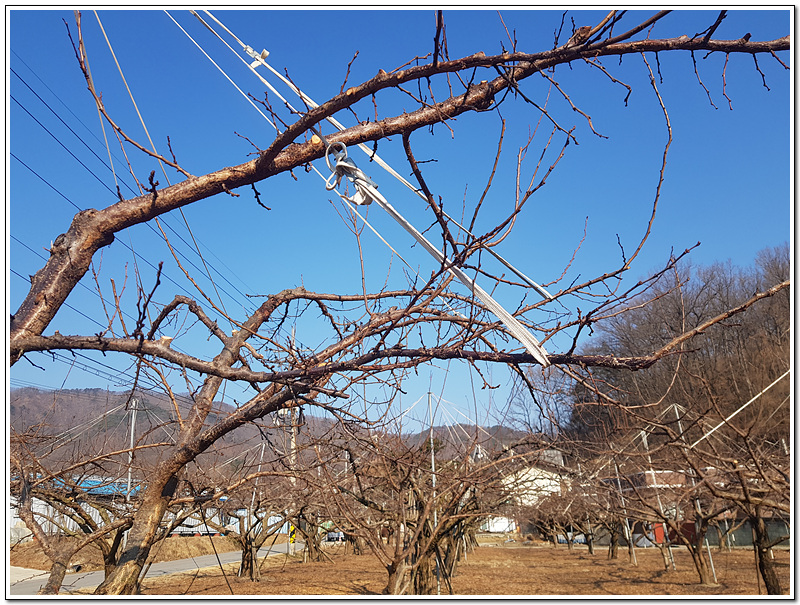 d322ec2bd1bf0e3db4a08783b7a6854c_1771549590_4697.jpg d322ec2bd1bf0e3db4a08783b7a6854c_1771549590_4697.jpg