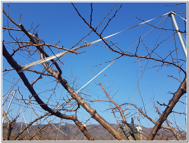 d322ec2bd1bf0e3db4a08783b7a6854c_1771549595_0713.jpg d322ec2bd1bf0e3db4a08783b7a6854c_1771549595_0713.jpg