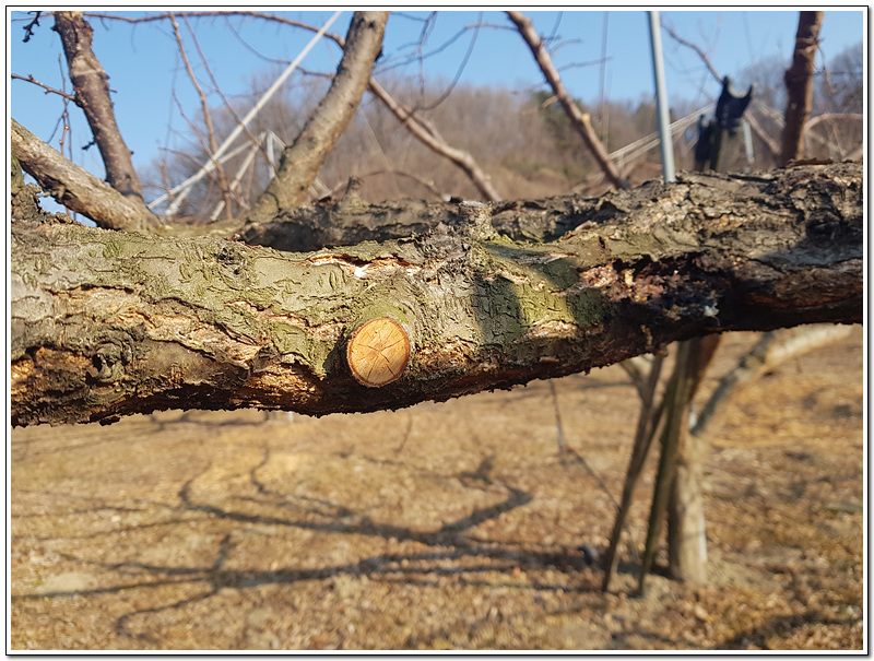 d322ec2bd1bf0e3db4a08783b7a6854c_1771550014_9362.jpg d322ec2bd1bf0e3db4a08783b7a6854c_1771550014_9362.jpg