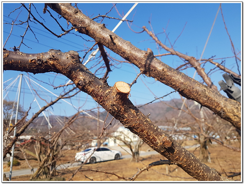 d322ec2bd1bf0e3db4a08783b7a6854c_1771550018_7607.jpg d322ec2bd1bf0e3db4a08783b7a6854c_1771550018_7607.jpg