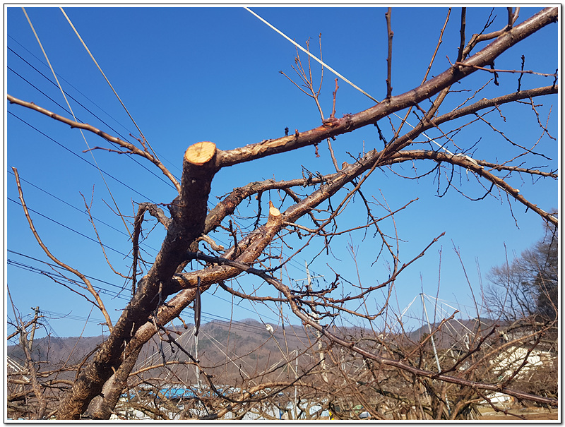 d322ec2bd1bf0e3db4a08783b7a6854c_1771550021_4435.jpg d322ec2bd1bf0e3db4a08783b7a6854c_1771550021_4435.jpg