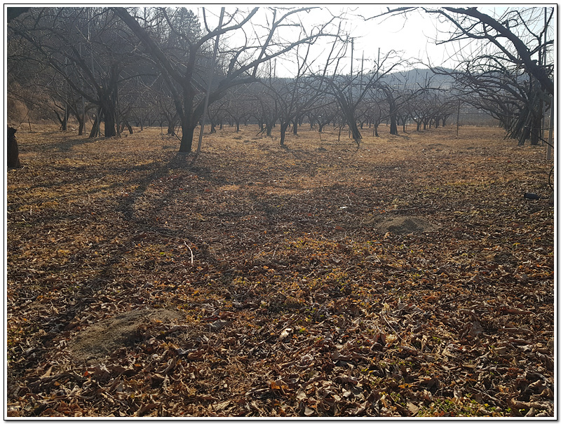 d322ec2bd1bf0e3db4a08783b7a6854c_1771550023_7992.jpg d322ec2bd1bf0e3db4a08783b7a6854c_1771550023_7992.jpg